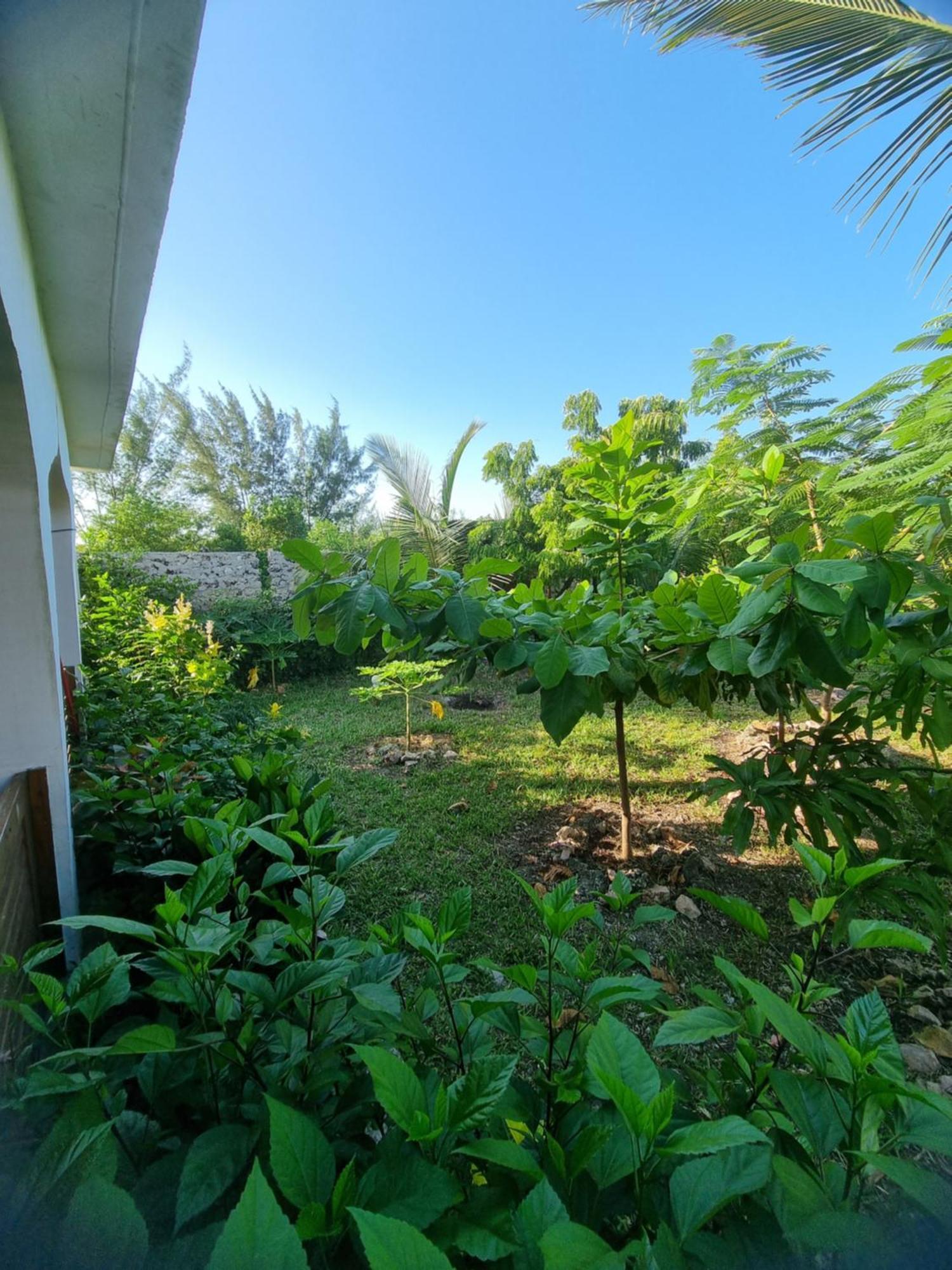 Jungle Séjour chez l'habitant