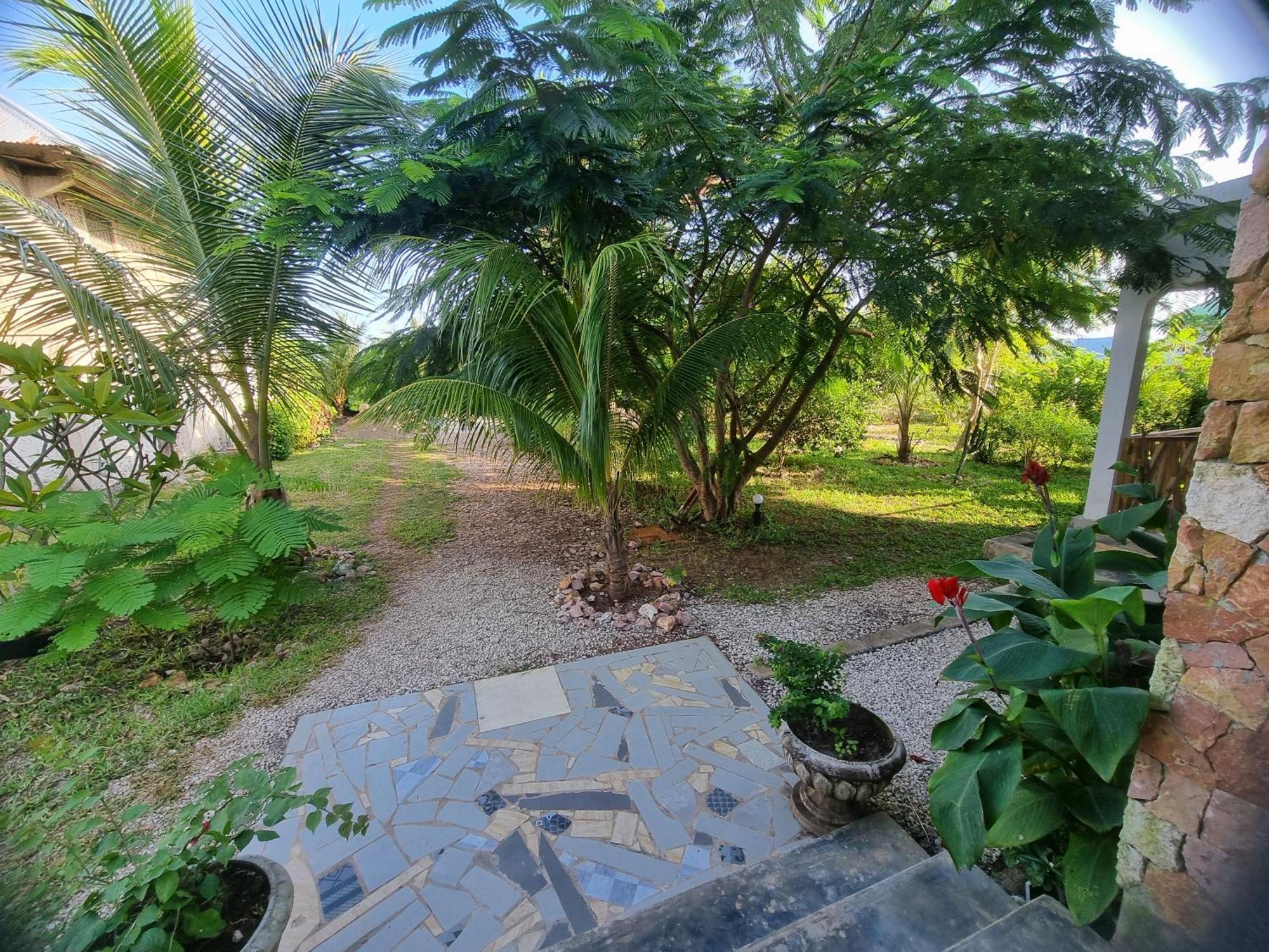 Séjour chez l'habitant Jungle