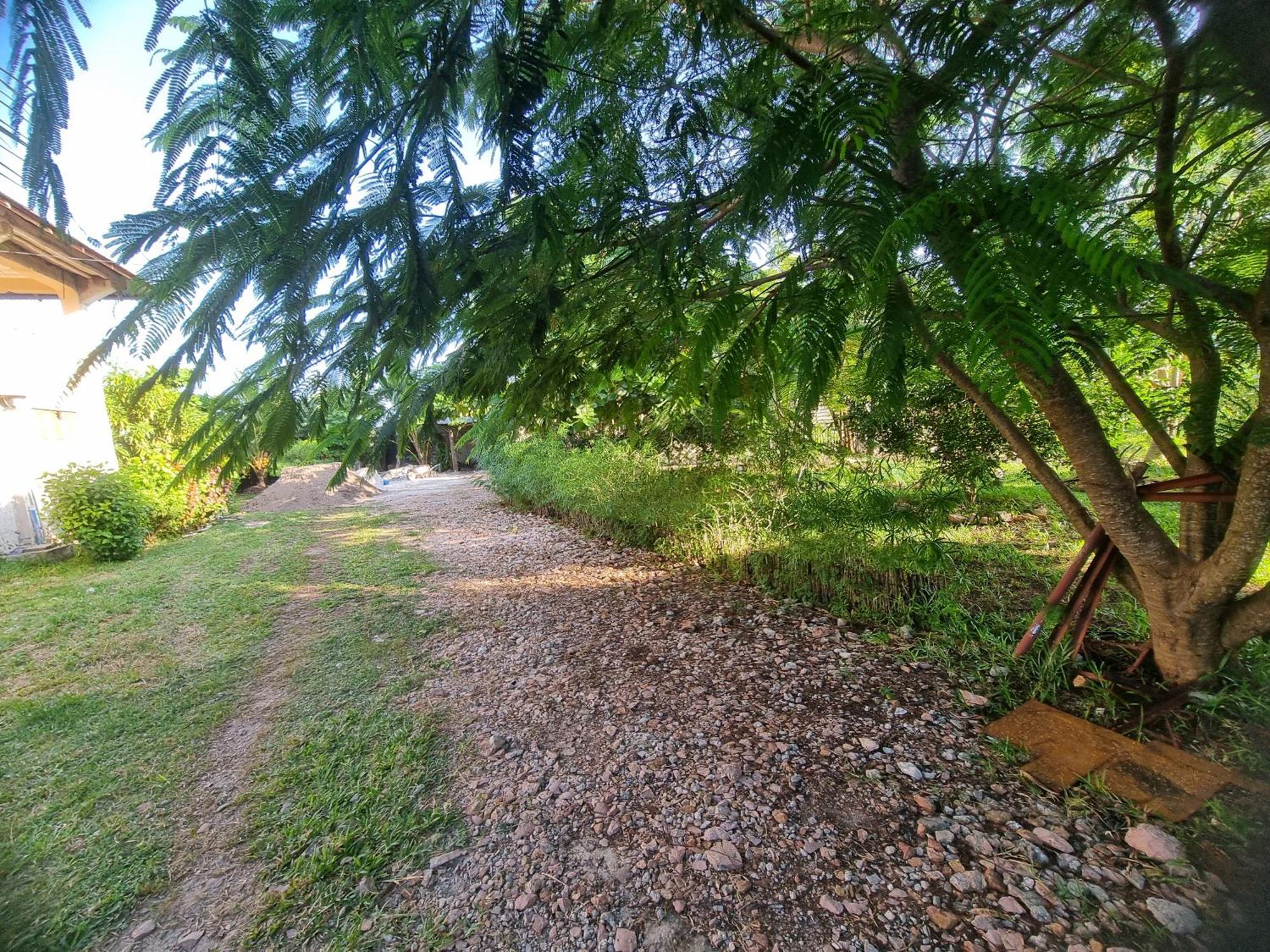 Jungle